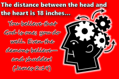 18inches