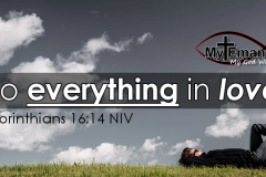 Do-Everything-in-Love