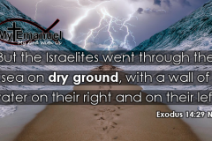 Dry-Ground