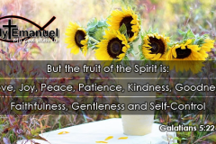 Fruit-of-the-Spirit