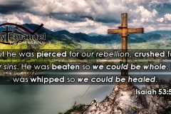 He-Was-Pierced