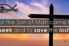 Seek-and-Save-the-Lost-2