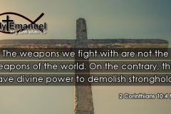 The-Weapons