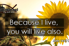 You-Will-Live-Also