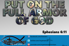 fullarmor