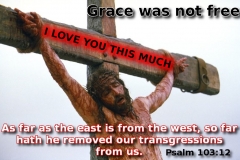 grace (2)