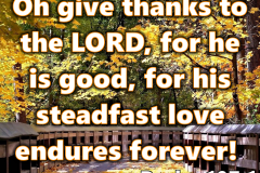 happythanksgiving