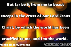 inthecrossalone