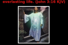 john316