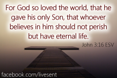 john316bill
