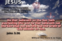 john336