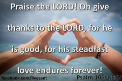 steadfastlove